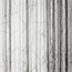 Haarwand, Herzliya Museum Of Art, Israel